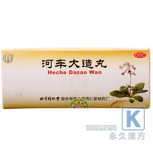 河車大造丸(同仁堂) 10丸入